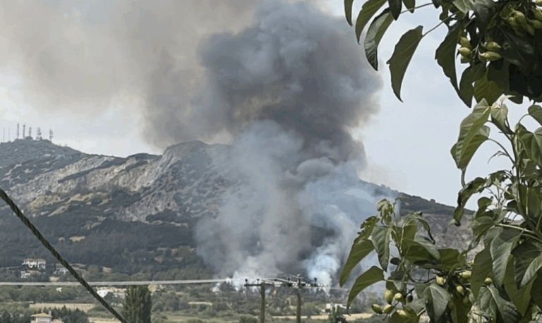 Φωτιά τώρα σε δασική έκταση στην Πυλαία Θεσσαλονίκης – Ήχησε το 112