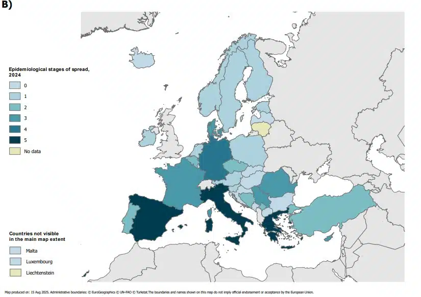 Map produced on: 15 Aug 2025. Administrative boundaries: EuroGeographics UN FAO Turkstat – Τα επιδημιολογικά στάδια της εξάπλωσης του C. auris ορίζονται ως εξής: Στάδιο 0: Δεν έχουν ανιχνευθεί περιπτώσεις μόλυνσης ή αποικισμού από C. auris.Στάδιο 1: Έχουν ανιχνευθεί μόνο εισαγόμενες περιπτώσεις C. auris. Στάδιο 2: Έχουν ανιχνευθεί μόνο σποραδικές περιπτώσεις C. auris που
επιδημούν τοπικά ή είναι άγνωστης προέλευσης. Στάδιο 3: Έχουν σημειωθεί σποραδικές εστίες C. auris χωρίς ή με περιορισμένη μόνο εξάπλωση μεταξύ εγκαταστάσεων. Στάδιο 4: Έχουν σημειωθεί πολλαπλές εστίες C. auris με επαληθευμένη ή πιθανή εξάπλωση μεταξύ εγκαταστάσεων. Στάδιο 5: Το C. auris είναι ενδημικό σε τμήματα της χώρας (περιφερειακή εξάπλωση). bΗ Δανία έχει αναφέρει μόνο μία εστία δύο κρουσμάτων το 2021.
cΤα δεδομένα περιλαμβάνουν τις χώρες της διεύρυνσης της ΕΕ Βοσνία-Ερζεγοβίνη, Κόσοβο, Μαυροβούνιο, Βόρεια Μακεδονία, Σερβία και Τουρκία.