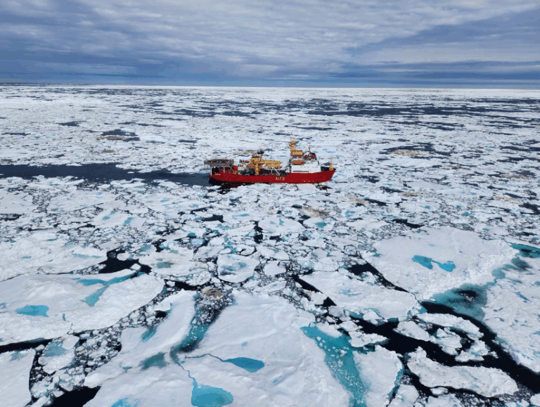 Το μεγαλύτερο ωκεάνιο ρεύμα στη Γη μετατοπίζεται – Τι θα συμβεί με τα οικοσυστήματα;