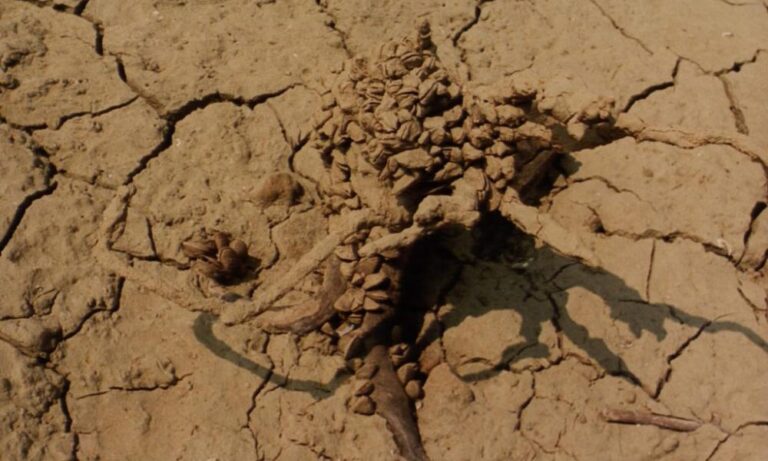 Κρήτη: «Στερεύει» το φαράγγι του Αποσελέμη – Για 100 ημέρες επάρκειας προειδοποιούν οι ειδικοί!