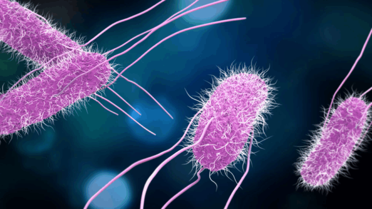 Αυτό το αρχαίο δολοφονικό βακτήριο γίνεται ανθεκτικό στα αντιβιοτικά, προειδοποιούν οι επιστήμονες