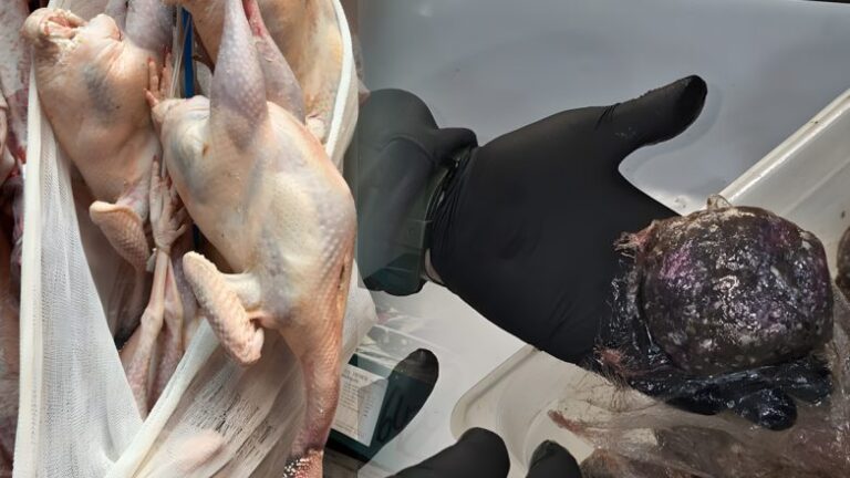 Δώδεκα τόνους με μουχλιασμένα μπιφτέκια και αλλοιωμένες γαλοπούλες θα «έριχναν» στην αγορά