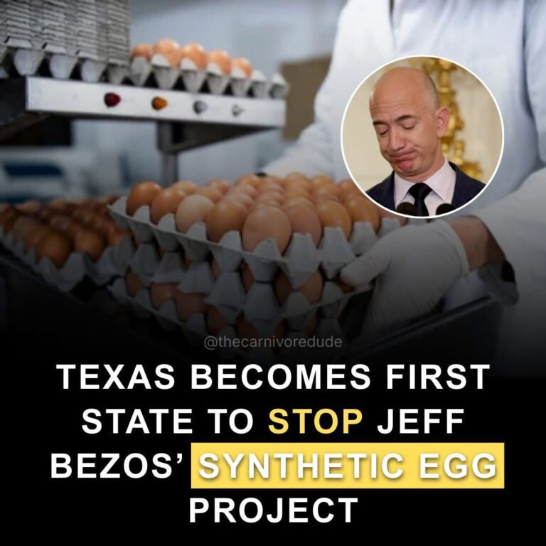 Το Τέξας απαγόρευσε τα συνθετικά αυγά του Τζεφ Μπέζος