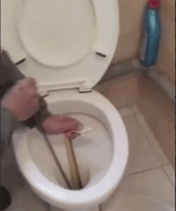 Μεγάλο φίδι ζούσε για 2 εβδομάδες σε λεκάνη τουαλέτας στην Καστοριά