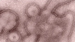 Συναγερμός στη Βρετανία για τη μεταλλαγμένη «σούπερ γρίπη: Τι είναι το στέλεχος H3N2, επιστρέφουν μνήμες από την εποχή του COVID-19