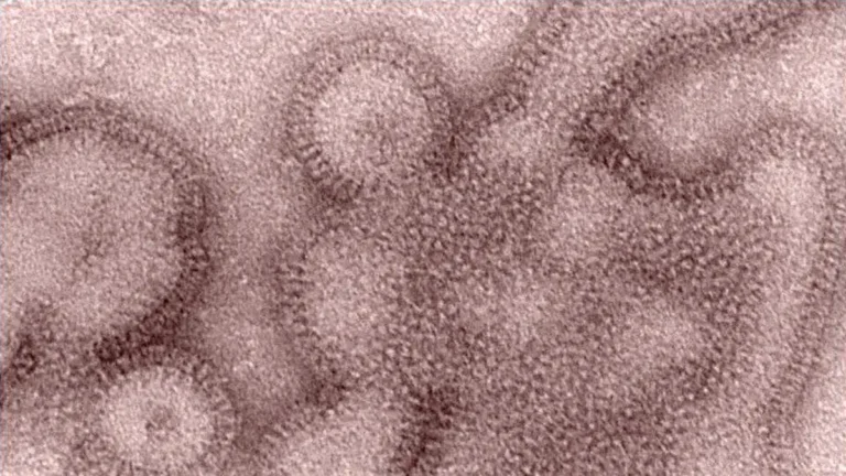 Συναγερμός στη Βρετανία για τη μεταλλαγμένη «σούπερ γρίπη: Τι είναι το στέλεχος H3N2, επιστρέφουν μνήμες από την εποχή του COVID-19