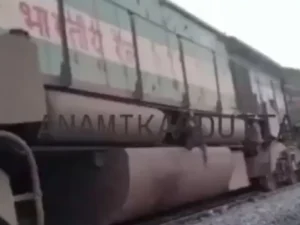 Ινδία: 7 ελέφαντες σκοτώθηκαν κατά τη σύγκρουση επιβατικού τρένου με κοπάδι