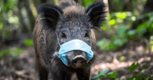 Η Ισπανία κηρύσσει κατάσταση έκτακτης ανάγκης λόγω επιδημίας