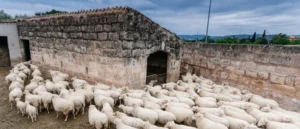 Το Σατανικό σχεδιο για ερήμωση της Υπαίθρου & της Κτηνοτροφίας