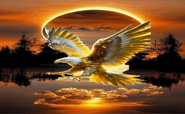 ΜΗΝΥΜΑ ΑΠΟ GEWKWN