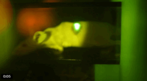 Η νέα γενιά των φορετών συσκευών – Ποιό «ζωντανό» εμφύτευμα παρουσίασαν