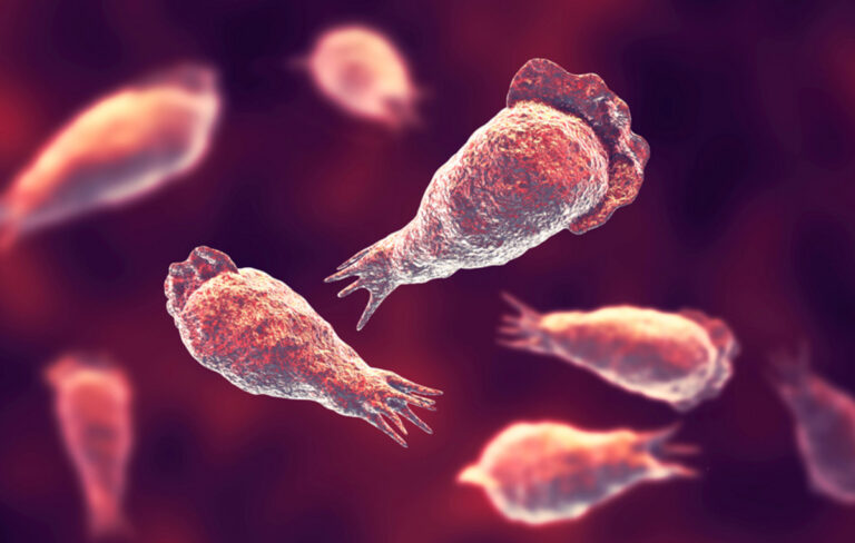 Επιστήμονες προειδοποιούν για τη ραγδαία εξάπλωση των ελεύθερων αμοιβάδων