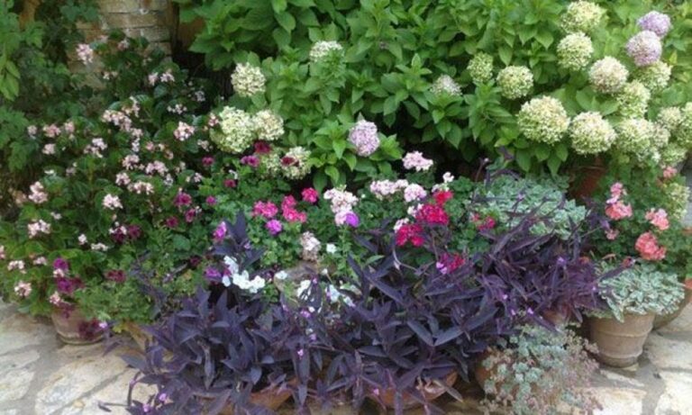 SOS για τη λειψυδρία εκπέμπει η… Βρετανία – Απαγορεύτηκε το πότισμα των κήπων στο Γιορκσάιρ