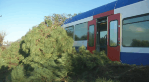 Παραλίγο τραγωδία στην Ηλεια: Δέντρο καταπλάκωσε το τρένο που πέρναγε-Τραυματίας ο οδηγός