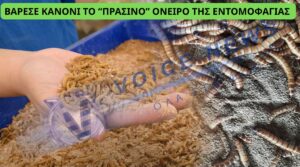 ΤΟ 2026 ΞΕΚΙΝΑ ΑΙΣΙΟΔΟΞΑ: ΧΡΕΟΚΟΠΗΣΕ Η ΜΕΓΑΛΥΤΕΡΗ ΦΑΡΜΑ ΕΝΤΟΜΩΝ ΣΤΗΝ ΕΥΡΩΠΗ ΠΟΥ ΠΡΟΟΡΙΖΑΝ ΓΙΑ ΤΑ ΠΙΑΤΑ ΜΑΣ