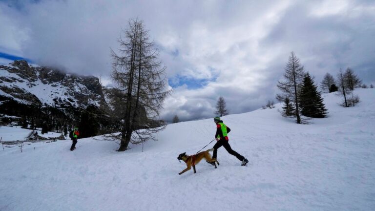 Αυστρία: Οκτώ οι νεκροί ορειβάτες από χιονοστιβάδες – 17 θύματα στις Άλπεις τις τελευταίες ημέρες