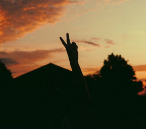 V sign hand gesture symbolic analysis