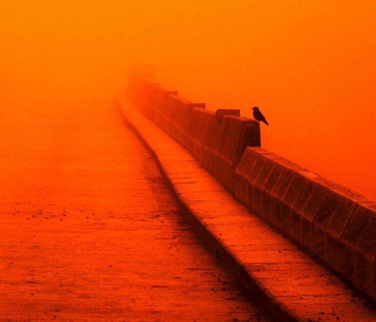 EL – Απόκοσμες εικόνες: Κύμα σκόνης από την έρημο “έπνιξε” το Ισραήλ – Καύσωνας χειμωνιάτικα αναμένεται τη Δευτέρα