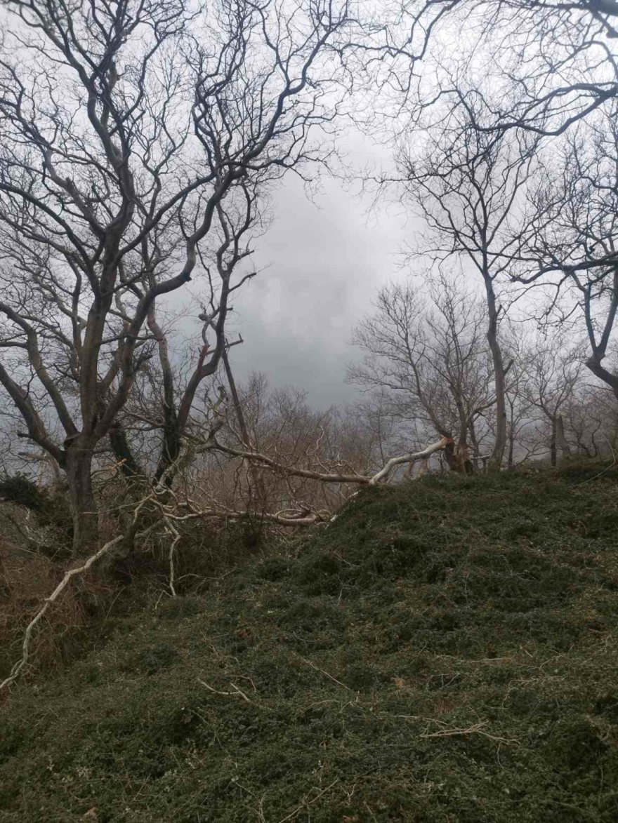 Προβλήματα στη Σαμοθράκη από τους ανέμους: Χωρίς ρεύμα μεγάλο μέρος του νησιού 