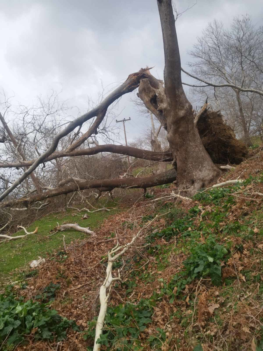 Προβλήματα στη Σαμοθράκη από τους ανέμους: Χωρίς ρεύμα μεγάλο μέρος του νησιού 