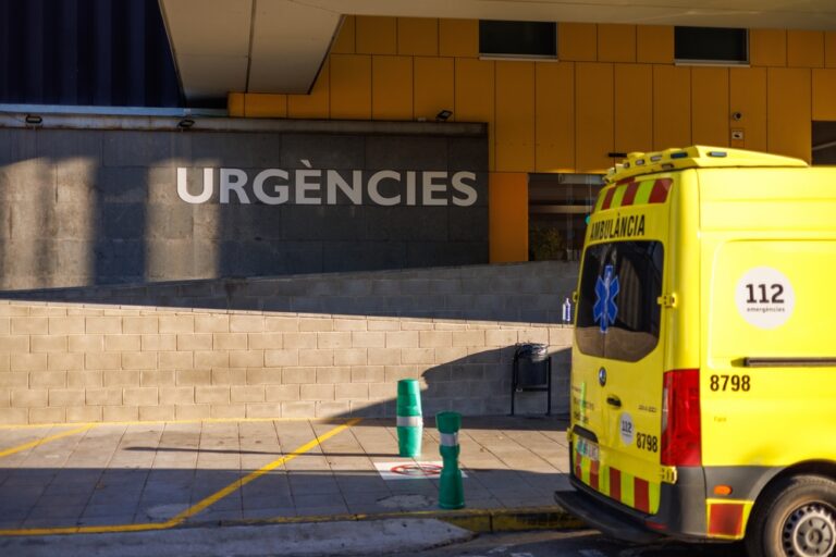 Γρίπη των χοίρων: Η Ισπανία ειδοποίησε τον ΠΟΥ για «μετάδοση παραλλαγής από άνθρωπο σε άνθρωπο»