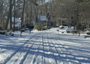 Χιονοθύελλα «παγώνει» τις ΗΠΑ: Xάος στις μεταφορές, πολικές θερμοκρασίες στη Φλόριντα ρίχνουν ιγκουάνα από τα δέντρα