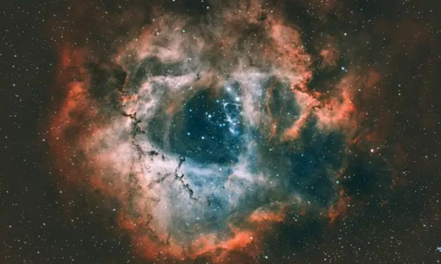 lf-1774964175171-tadz