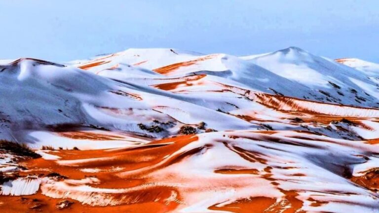 Απίστευτο φαινόμενο στη Σαχάρα: Χιόνι κάλυψε τις αμμοθίνες στην Αλγερία – Οι επιστήμονες επανεξετάζουν τα κλιματικά μοντέλα