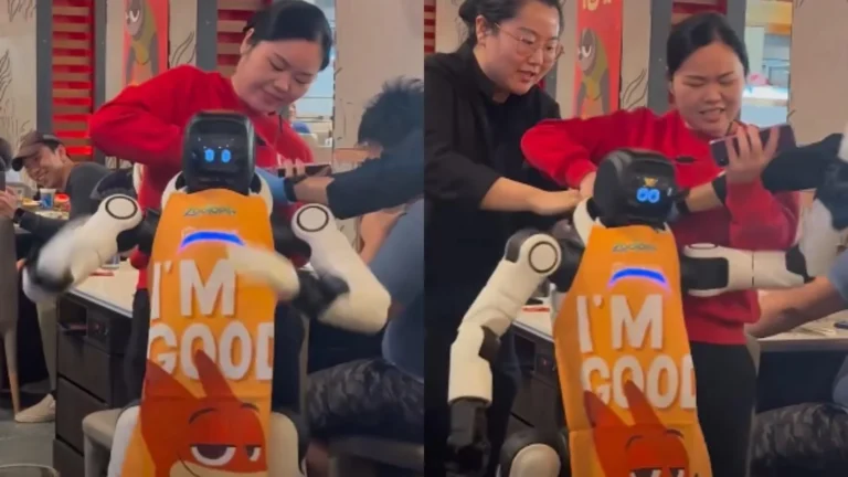Βίντεο: Ρομπότ στην Κίνα τα «σπάει» μέσα σε εστιατόριο γιατί βαρέθηκε να κάνει τον «κλόουν» για τους θαμώνες