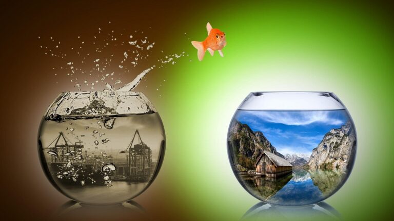 Η προσαρμοστικότητα ως θεμελιώδης ψυχολογική δεξιότητα στην εποχή της αλλαγής