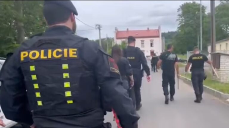 Τσεχία: Σκότωσε το νεογέννητο παιδί της και πέταξε την σορό του στα σκυλιά