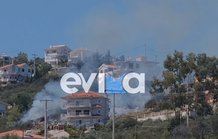 aliveri-fotia