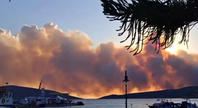 fotia-skyros