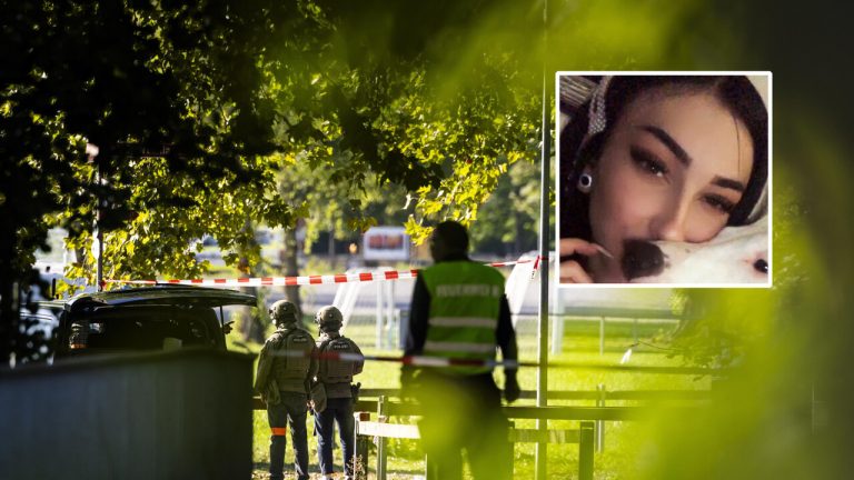 Ελβετία: Συνελήφθη 43χρονος για τη φονική σ shooting σε rave στο Ααράου