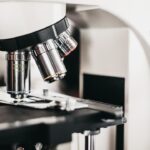 Έρευνα για το ανοσοποιητικό σύστημα των υπεραιωνόβιων