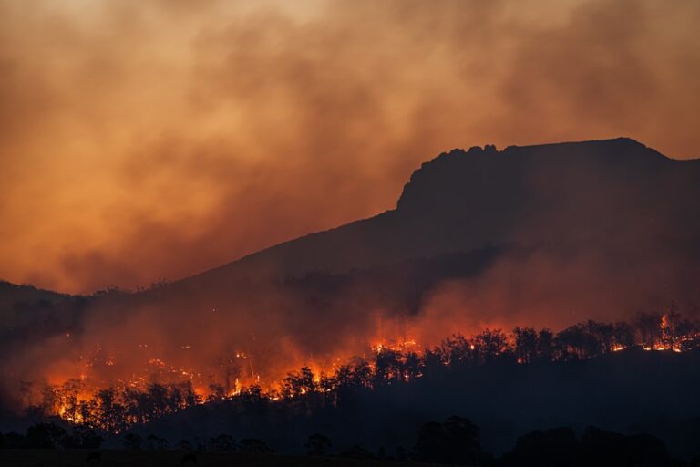 Φωτιά και πυκνός καπνός - έκτακτη ενημέρωση για Σαλαμίνα και Βοιωτία
