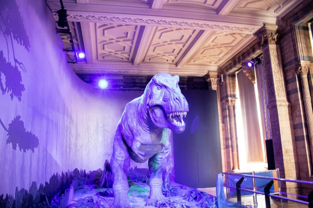 Σκελετός Tyrannosaurus rex σε μουσείο