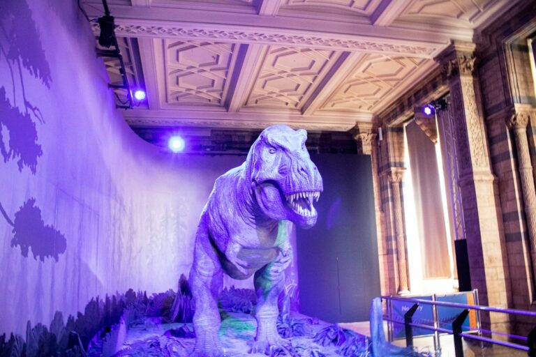 Σκελετός Tyrannosaurus rex σε μουσείο