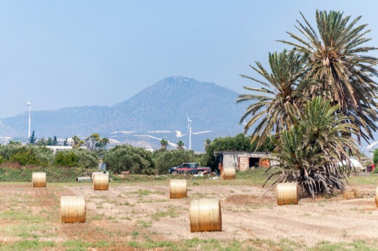Τοπίο σχετικό με ενεργειακές υποδομές