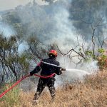 Αλγερία: Ο πρόεδρος ζητά θανατική ποινή για εμπρηστές δασικών πυρκαγιών