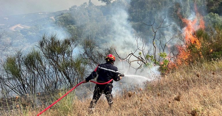Αλγερία: Ο πρόεδρος ζητά θανατική ποινή για εμπρηστές δασικών πυρκαγιών