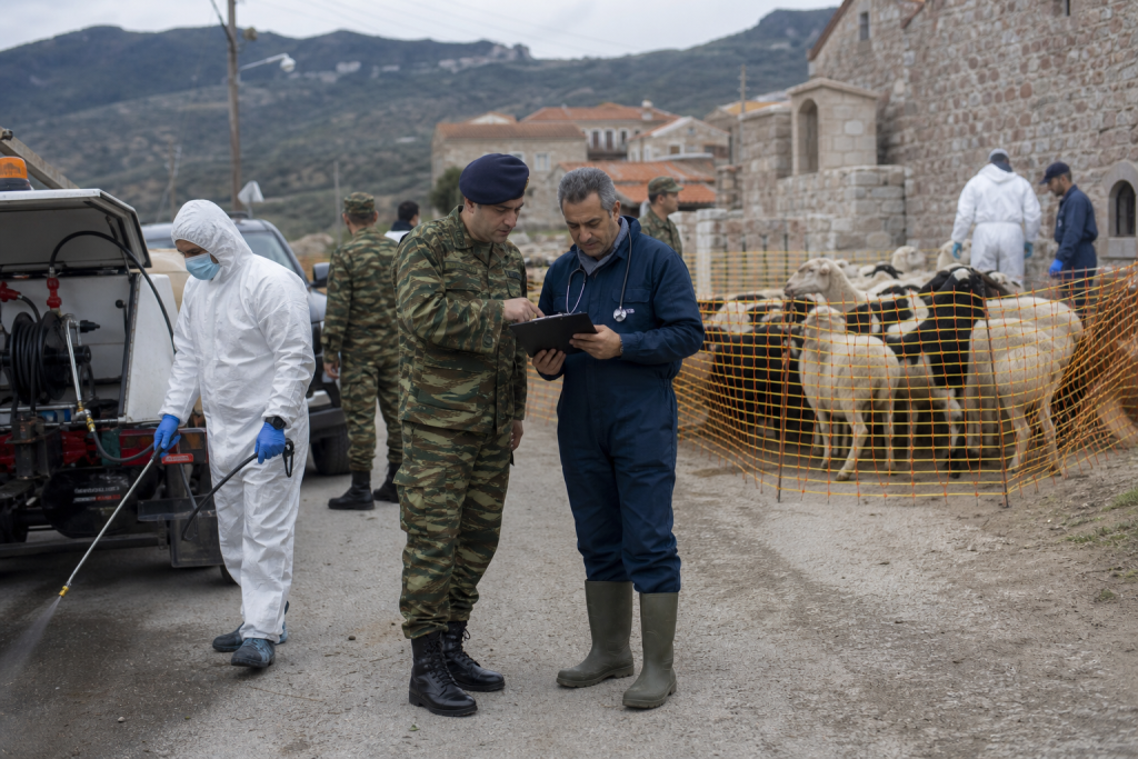 Λέσβος: Οι Ένοπλες Δυνάμεις αναλαμβάνουν τον επιχειρησιακό συντονισμό για τον αφθώδη πυρετό