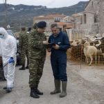 Λέσβος: Οι Ένοπλες Δυνάμεις αναλαμβάνουν τον επιχειρησιακό συντονισμό για τον αφθώδη πυρετό
