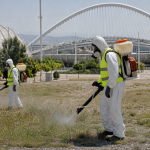 Συναγερμός για τον ιό του Δυτικού Νείλου στην Αττική: Νέοι ψεκασμοί στο ΟΑΚΑ