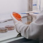 Εργαστήριο επιστήμης τροφίμων - εικόνα αρχείου. Φωτογραφία Trnava University / Unsplash