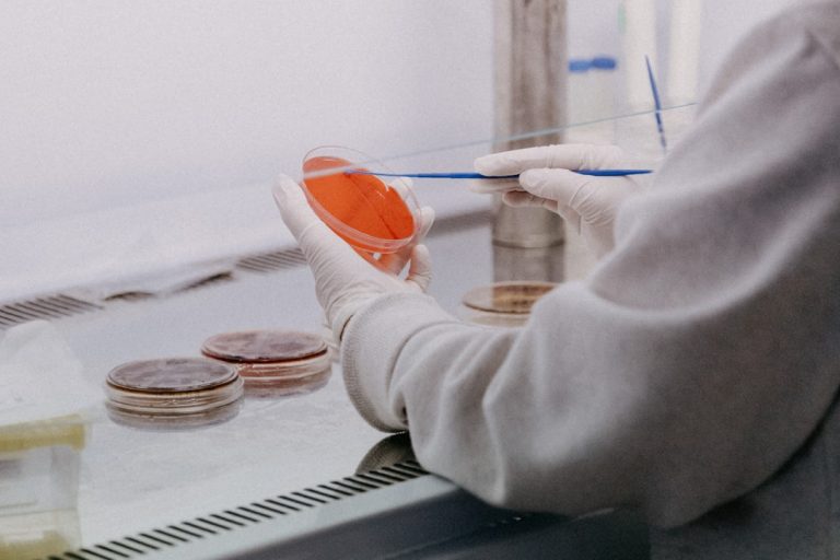 Εργαστήριο επιστήμης τροφίμων - εικόνα αρχείου. Φωτογραφία Trnava University / Unsplash