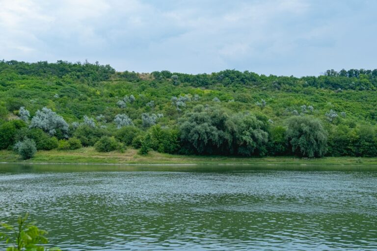 Υδάτινοι πόροι και ενεργειακή κρίση στη Μολδαβία