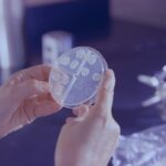 Εργαστηριακή δοκιμή βακτηρίων και αντοχής σε φάρμακα