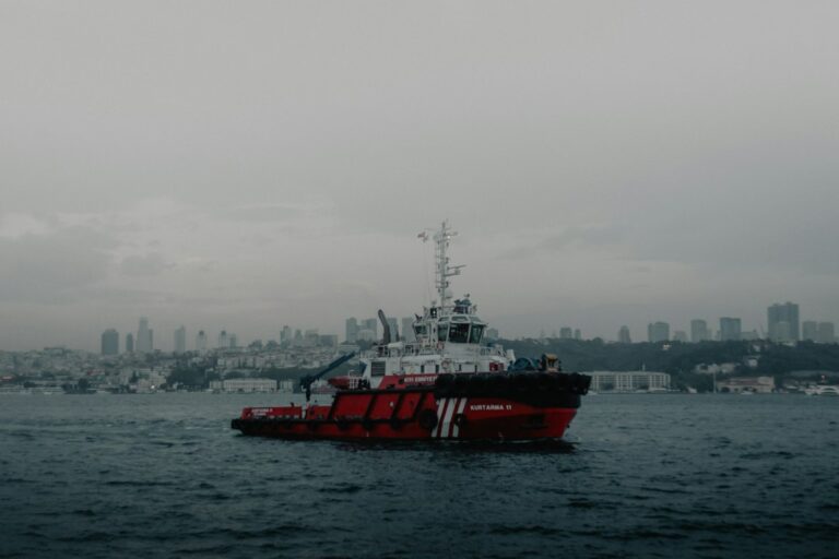 Πολεμικό πλοίο στην Ερυθρά Θάλασσα, θεματική εικόνα