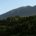 Φωτογραφία αρχείου, δεν απεικονίζει απαραίτητα το συγκεκριμένο γεγονός